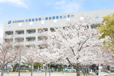 大阪府難病診療連携拠点病院イメージ