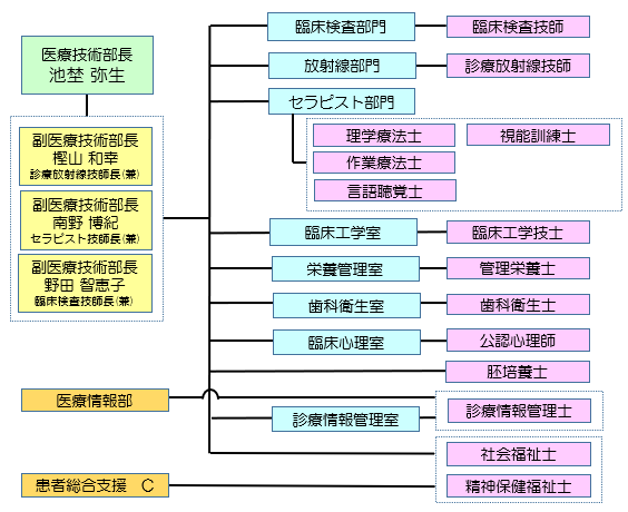 医療技術部組織図