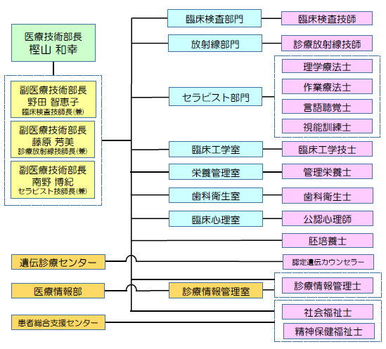 医療技術部組織図