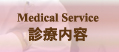 診療内容