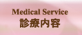 診療内容
