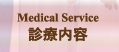 診療内容