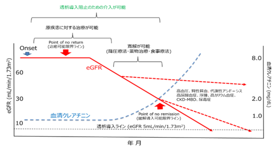 図6. CKDに対する介入のタイミングとその効果 (著者作成)