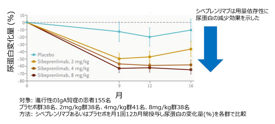 図3. IgA腎症患者に対する抗APRIL抗体の尿蛋白減少効果 (文献3より引用、一部改変)