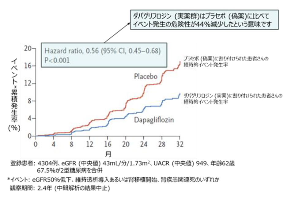 図1. SGLT-2阻害薬であるダパグリフロジンの腎保護効果を証明した臨床試験 (文献1より引用・一部改変)